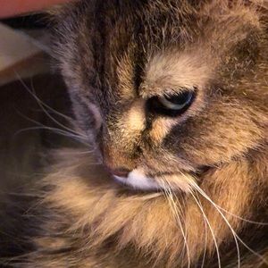 Meet your Posher, Nancy